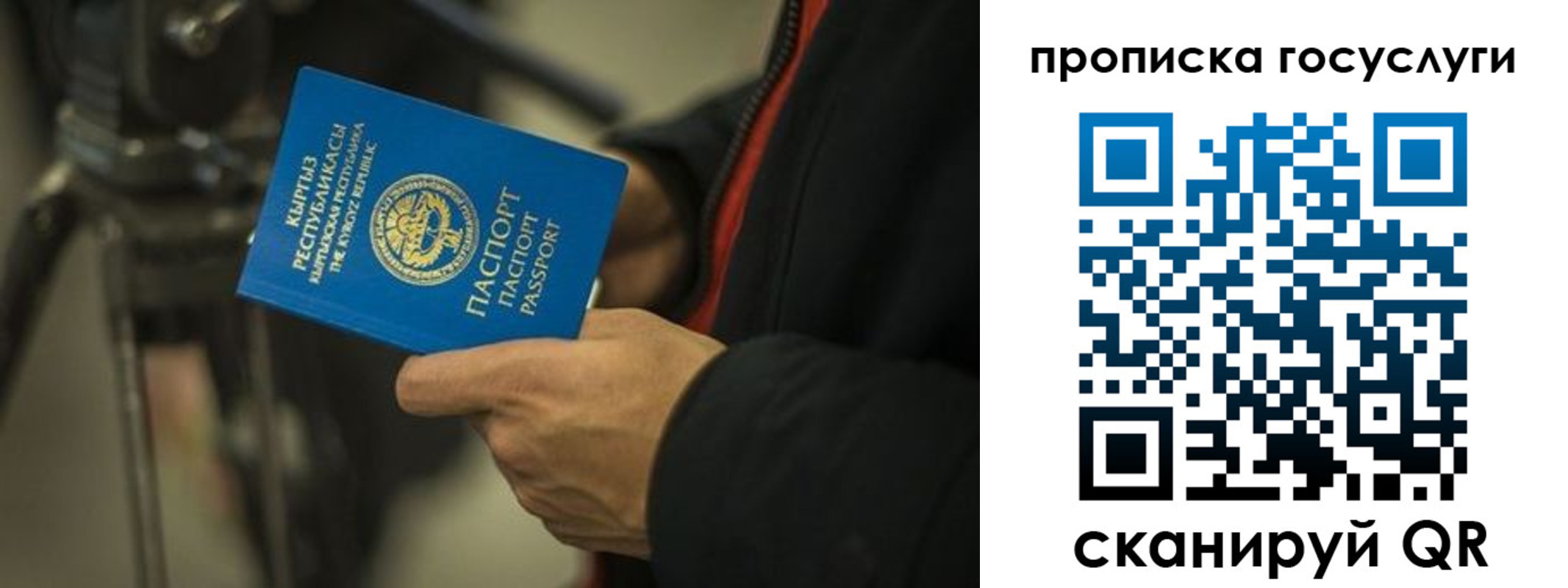 найти адрес прописки в Нижнекамске